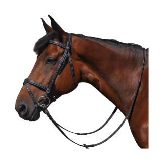 Bridon flags & cup helsinki