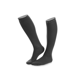 Chaussettes taipei  animo