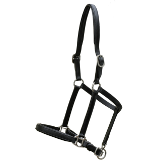Licol cuir natural line foal l noir