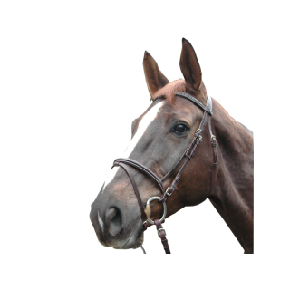 Bridon biarritz combi