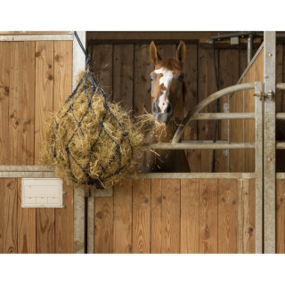 Filet foin coton hippotonic a/anneaux bleu