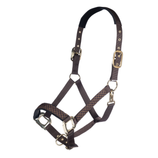 Licol nylon basil hkm