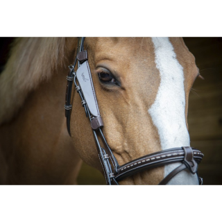 Oeilleres penelope blinkers