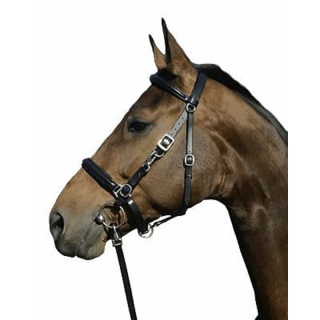 Bridon licol biron euro club