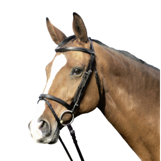 Bridon havard noir full