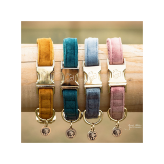 Collier pour chien velvet kentucky