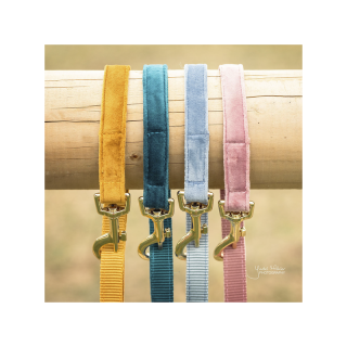 Laisse pour chien velvet 120cm